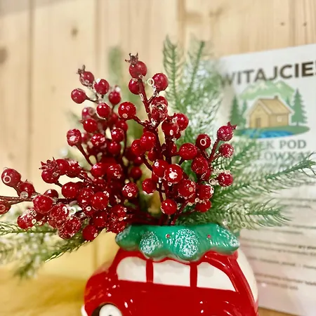 Vakantiehuis Pod Gubalowka I Woda